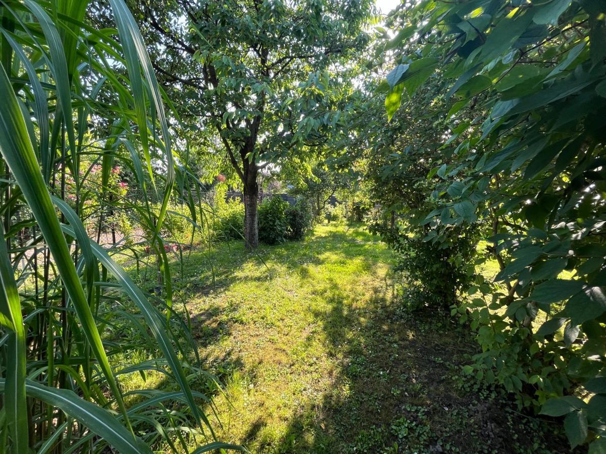 Apartament Wojska Polskiego 35 Villa วาโดวิเซ ภายนอก รูปภาพ